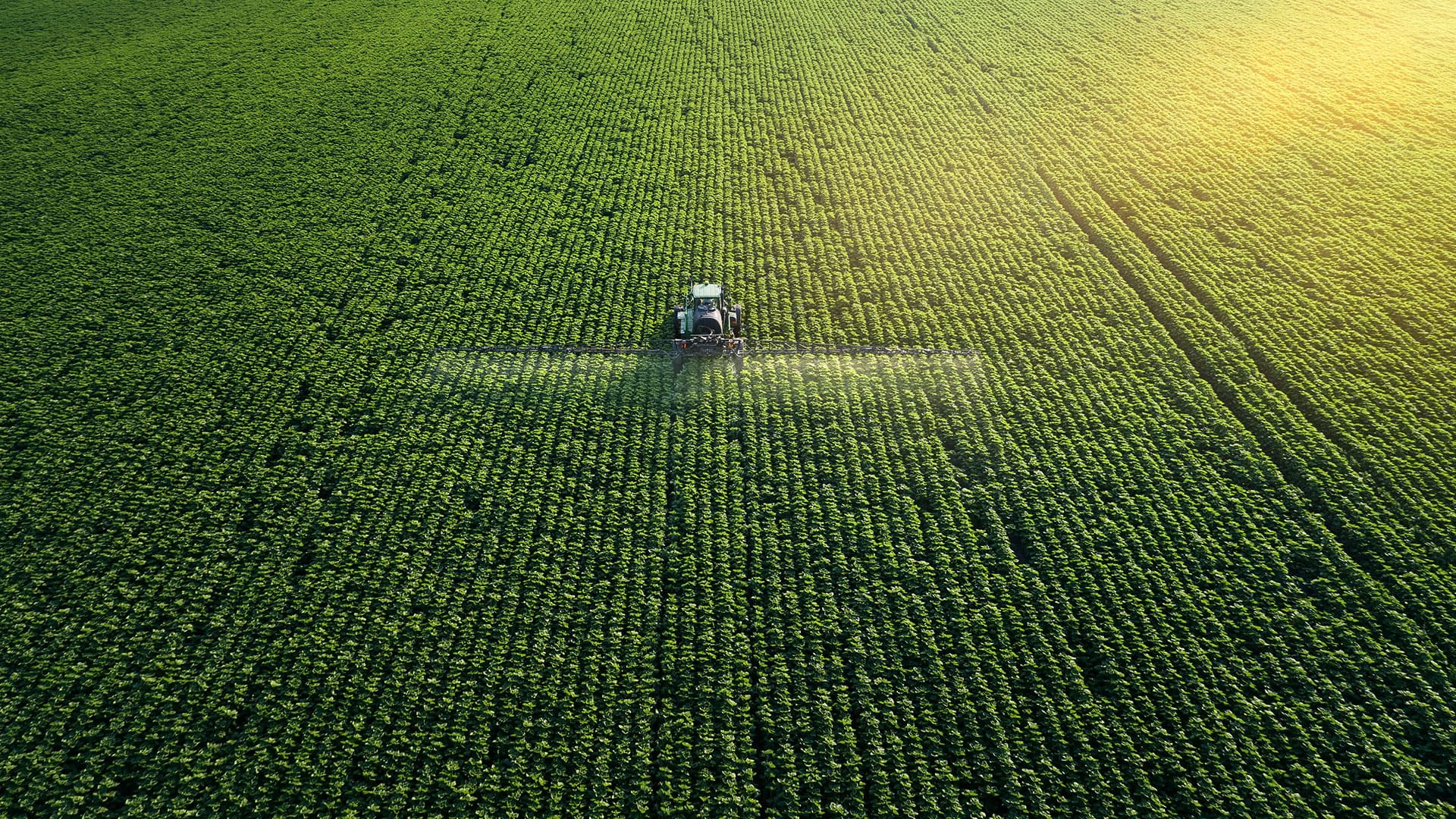 Agricoltura & Costruzioni